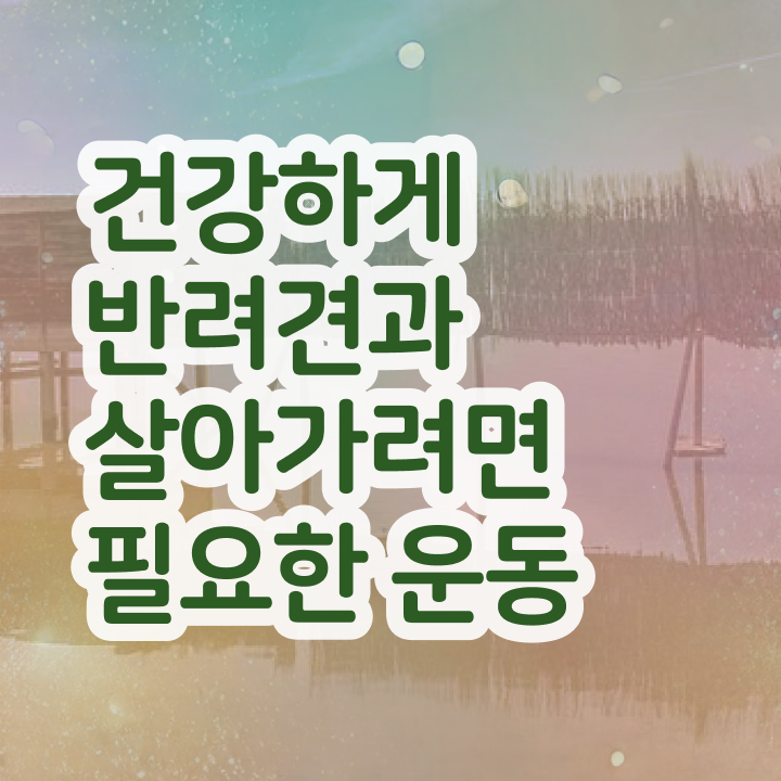  반려견운동지도사 공부 , 단기간에 반려견운동지도사자격증 합격한 팁