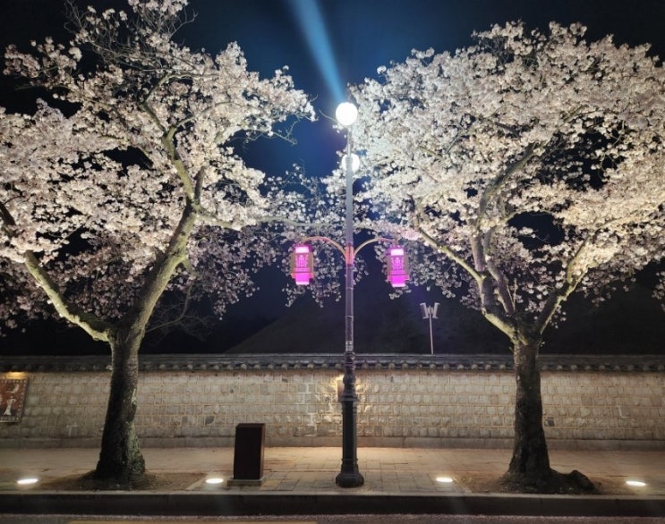  4월 일상기록