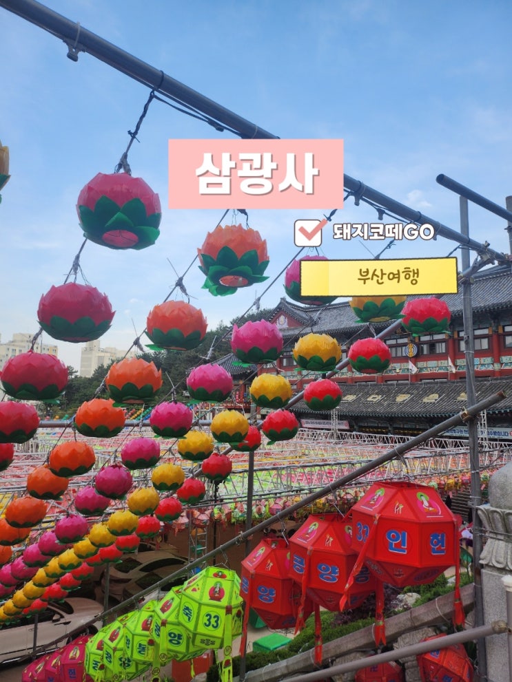  돼지코떼GO_부산여행_5월은 부산삼광사연등축제