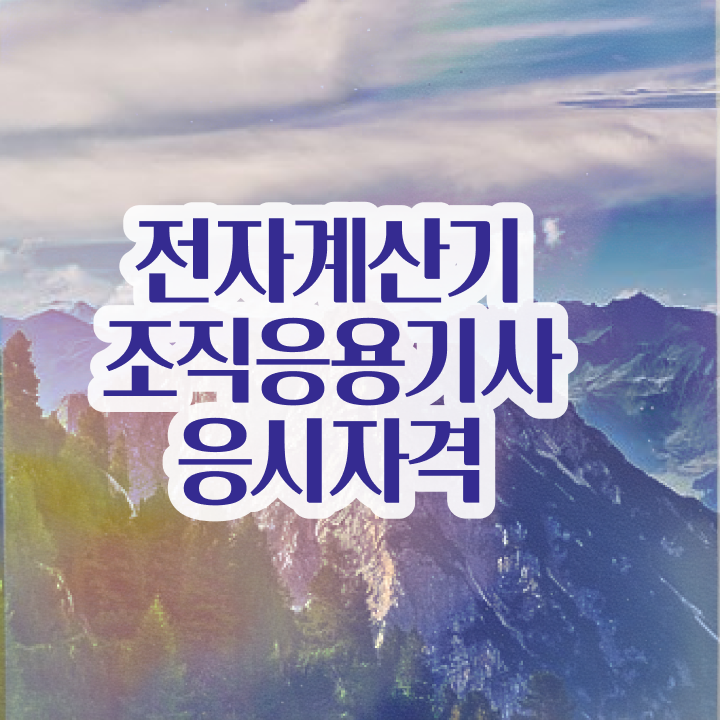  전자계산기조직응용기사 필기 합격 전자계산기조직응용기사 응시자격 인강으로 1학기 만에 갖췄던 비법
