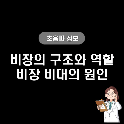 비장 지라의 위치, 기능, 비장 비대증 원인 : 네이버 블로그