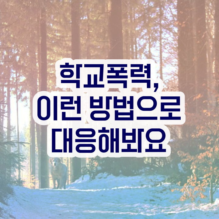  학교폭력 예방교육 자료 , 아동폭력예방상담사 자격증 취득한 노하우 핵심 정보