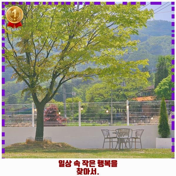사진 3