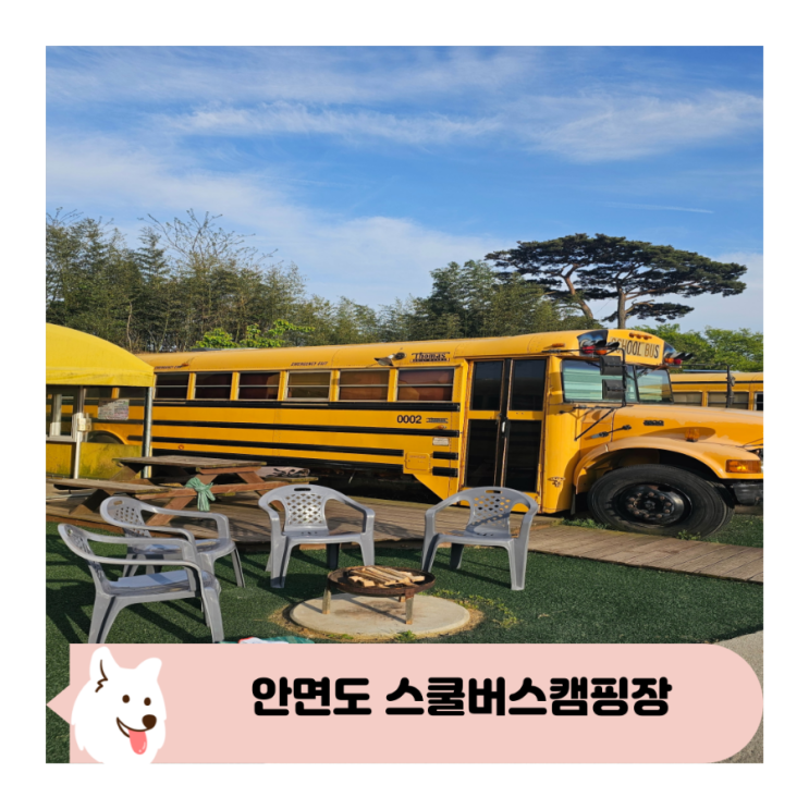  안면도키즈펜션 이색숙소 안면도스쿨버스캠핑장