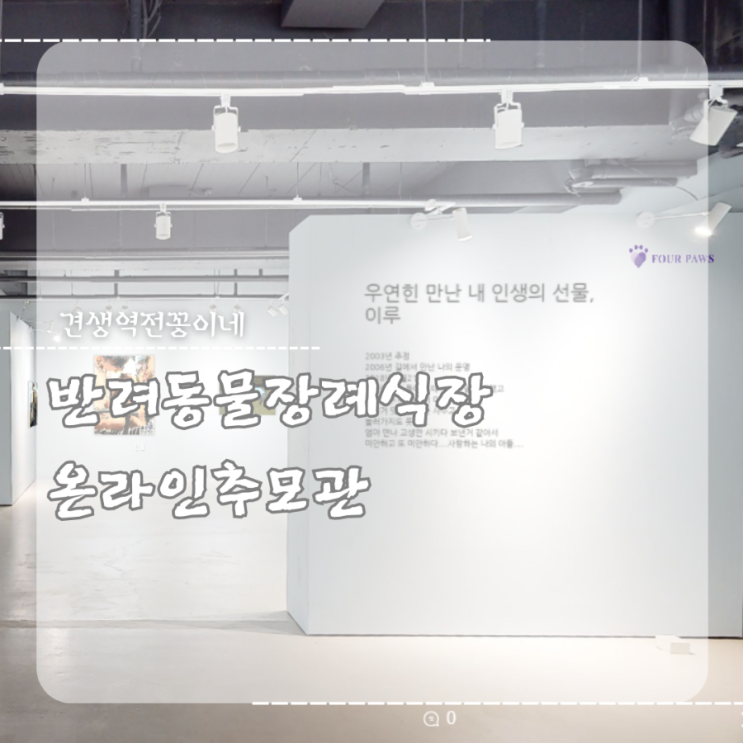  강아지 장례식장 포포즈 반려동물 펫로스증후군 위로 걸어온