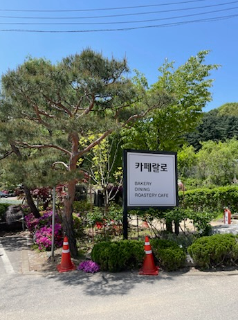  [분당판교맛집] 뷰 맛집 브런치 카페 랄로 쩝쩝 후기