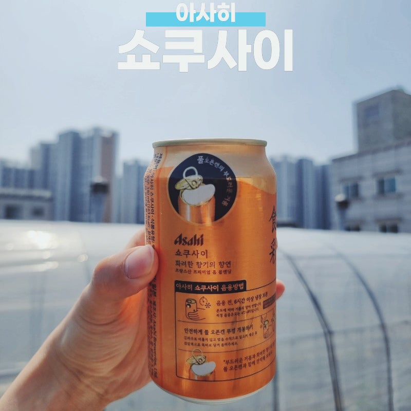 아사히 쇼쿠사이 맥주 후기, 쇼쿠사이 뜻 금액