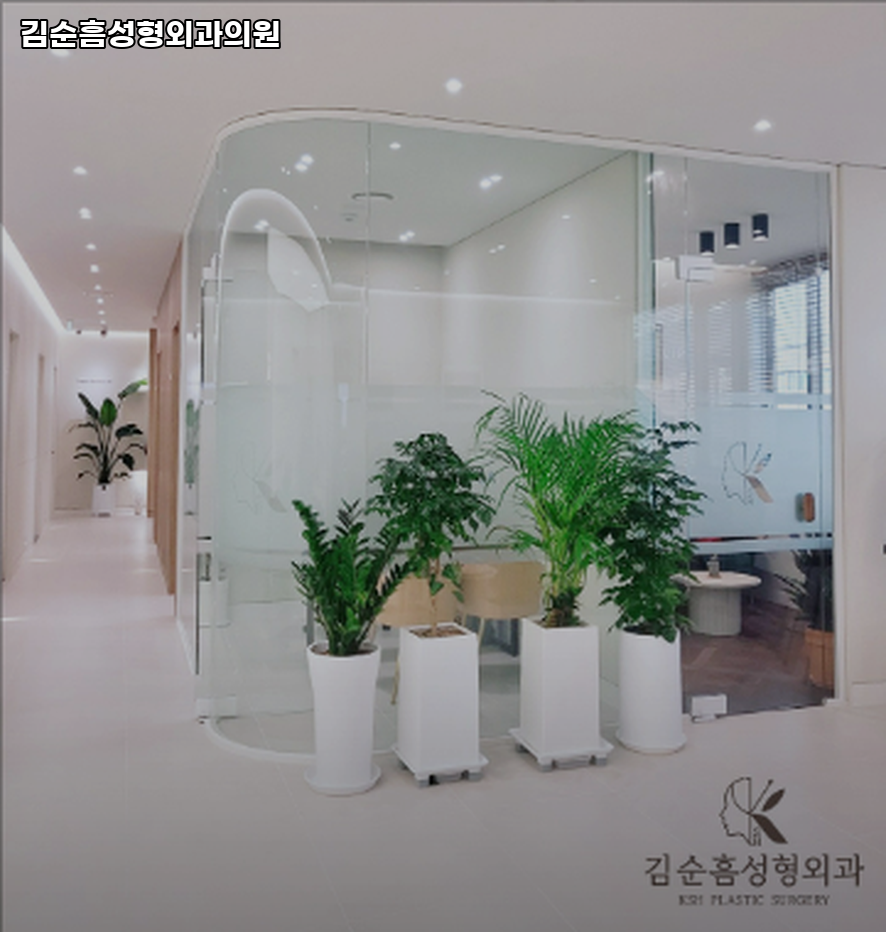 김순흠성형외과의원 사진 1