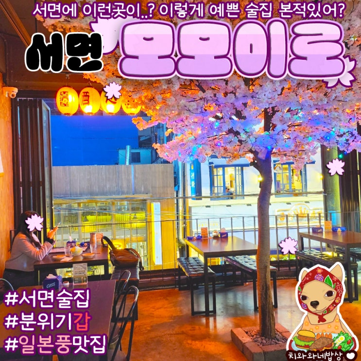  부산서면꼬치집 모모이로 전포동하이볼술집 분위기예쁜곳
