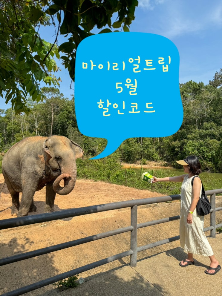  마이리얼트립 5월 단독 할인쿠폰 코드 5천원 사용 방법 / 선착순, 투어 입장권 적용 가능