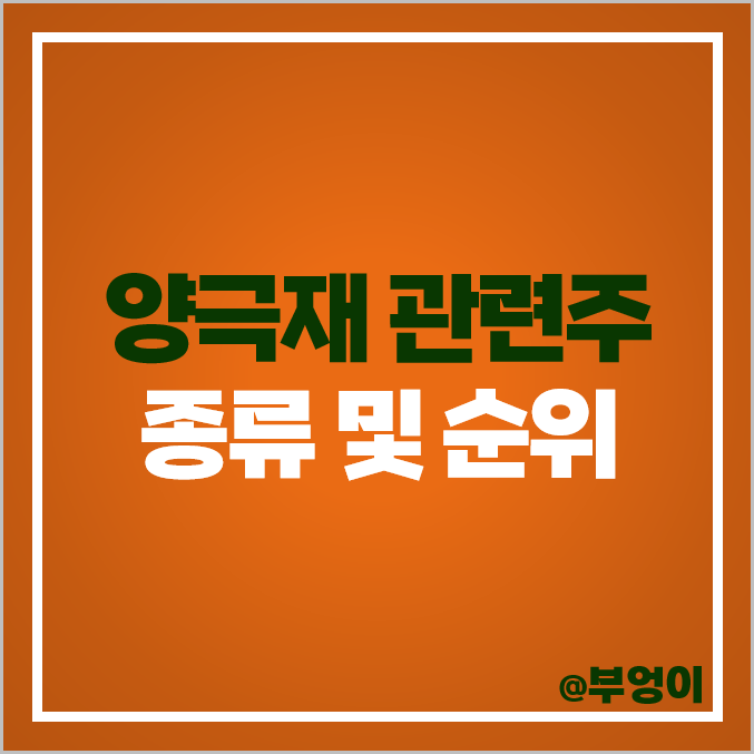 2차전지 양극재 관련주 대장주 엘앤에프 주식 코스모신소재 주가 2차전지 양극재 관련주 대장주 엘앤에프 주식 코스모신소재 주가