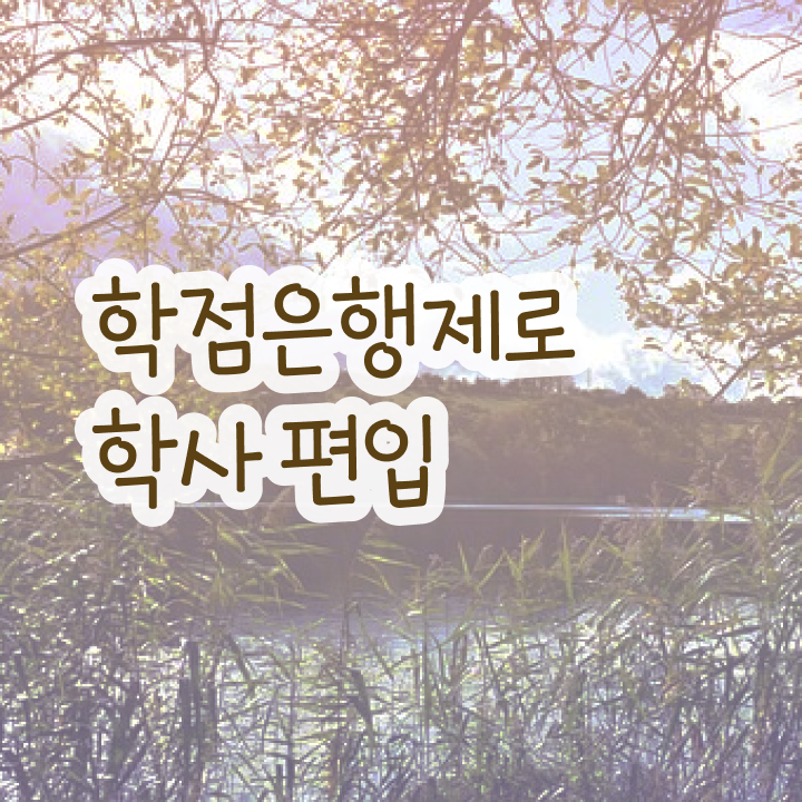  국가평생교육원 학점은행 , 전문학습멘토 추천받고 목표로하던 학사 학위 얻었어요