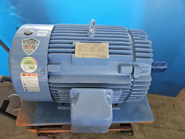  6P10 22KW(30HP) 6P 220/380V 60Hz B3