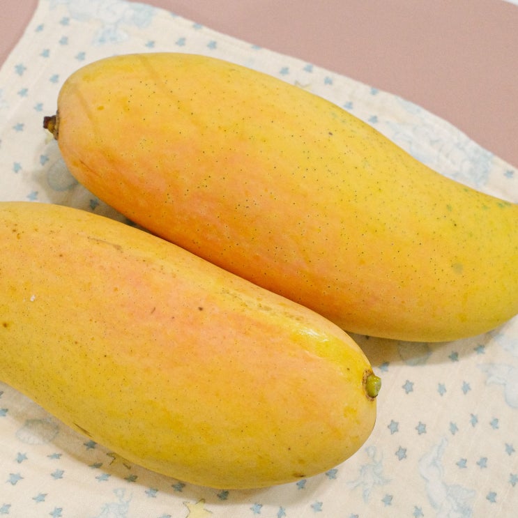  지금밖에 못먹는 태국 마하차녹 무지개망고 4kg 후숙 손질 보관 방법