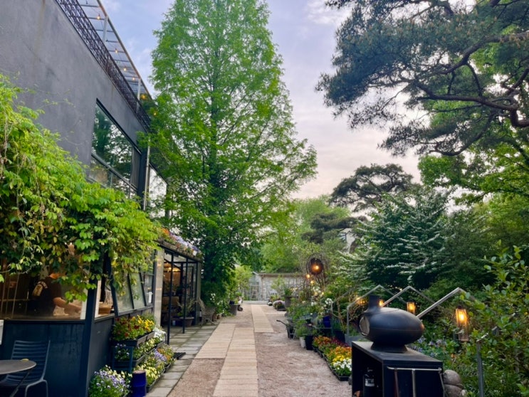  ‘과천 마이알레’ 식물 가득 정원이 예쁜 인스타 핫플 식물원 카페 추천, 주차, 솔직 리뷰