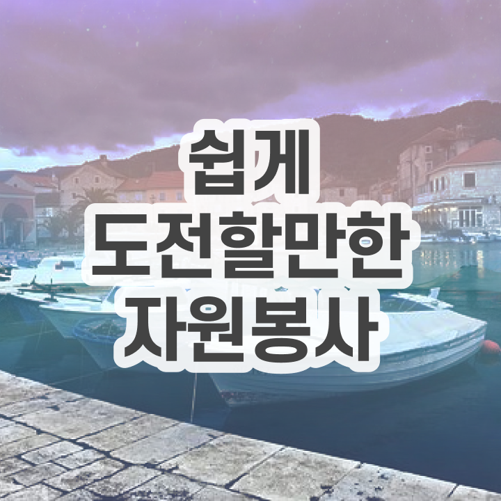  노인자원봉사실천론 , 자원봉사지도사 자격증 1급,2급 동시에 취득한 과정 및 커리어 활용 방안