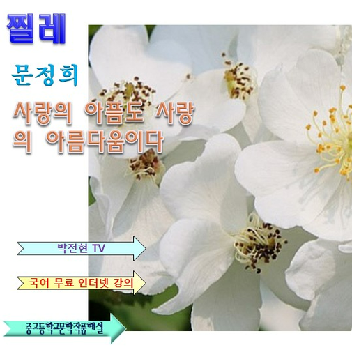 문정희 찔레 해설 정리