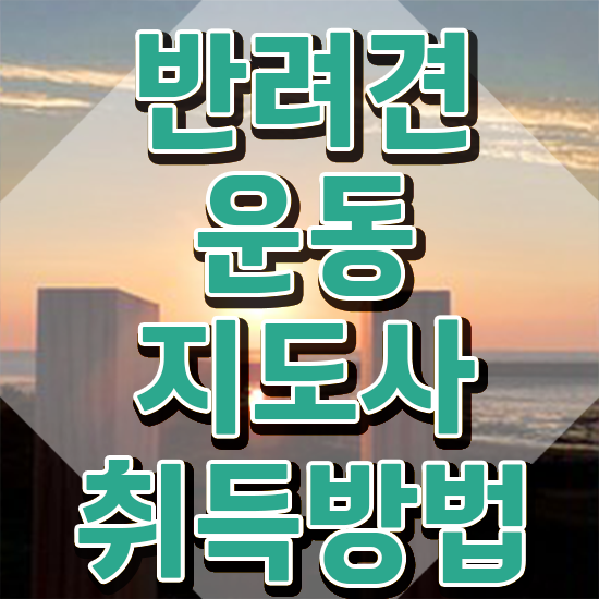  동물보건사 자격증 조건 인강으로 간편하게 반려견운동지도사자격증 준비한 방법