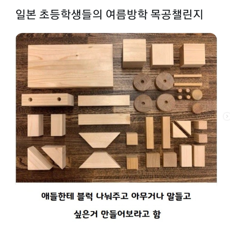  일본 초등학생들의 여름방학 목공챌린지