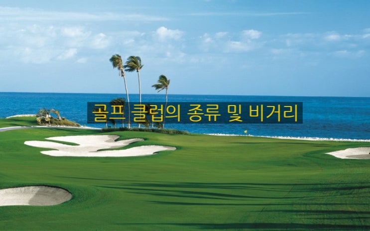  [골프] 골프 클럽의 종류와 비거리