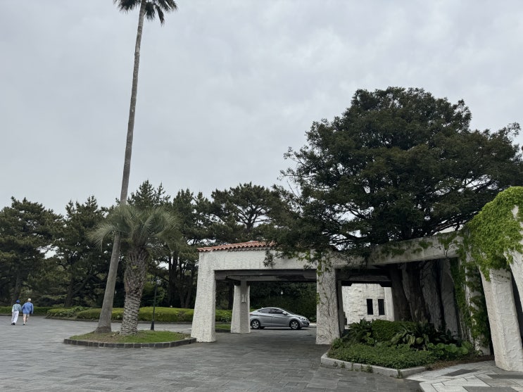  [20240416] 제주도 여행 (2편) 드라마 수리남 배경지 허니문 하우스 카페