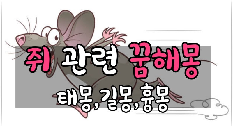 쥐 관련 꿈해몽 태몽 길몽 흉몽 꿈에 쥐가 나왔다면 상황별 쥐 꿈 해몽