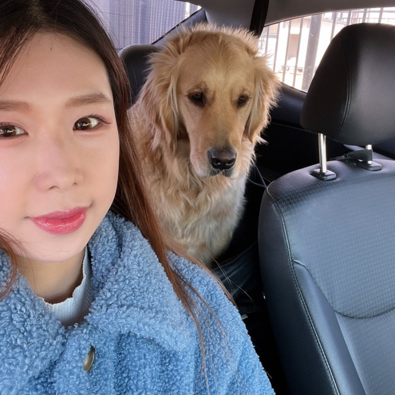 사진 5