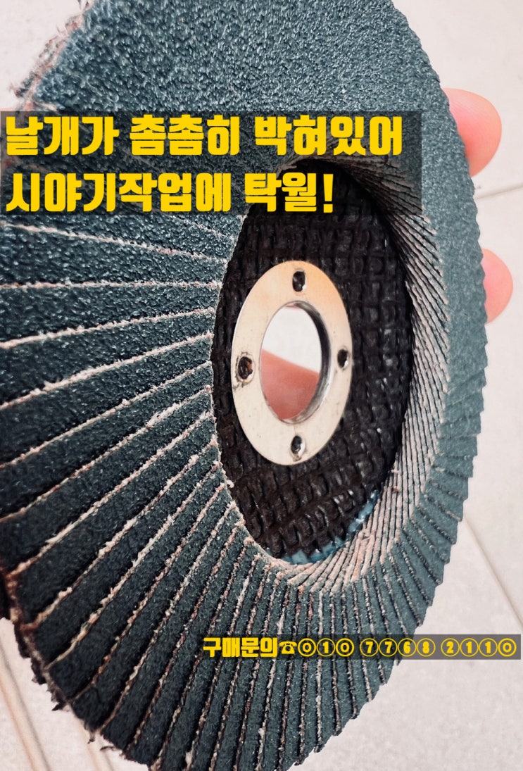  레즈본 플랩디스크 판매(40방,60방,80방,120방)