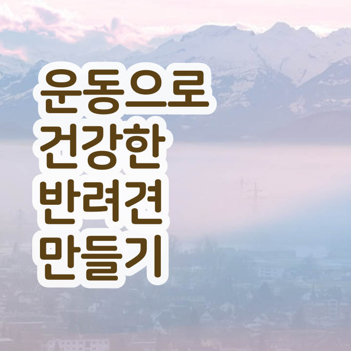  동영상으로 반려견운동지도사자격증 합격한 팁