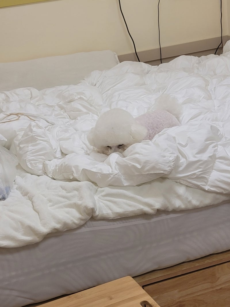 사진 6