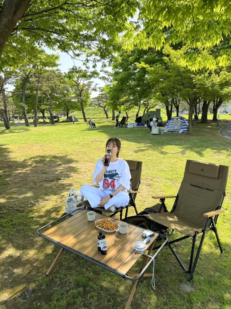  충북 피크닉 : 충주 중앙탑공원 중앙탑사적공원