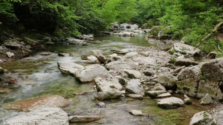  한식조리산업기사 응시자격 서류 한식조리산업기사 응시자격 독학으로 편하게 준비한 전략
