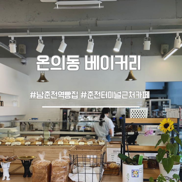  남춘천역 빵집 아이와 온의동 베이커리