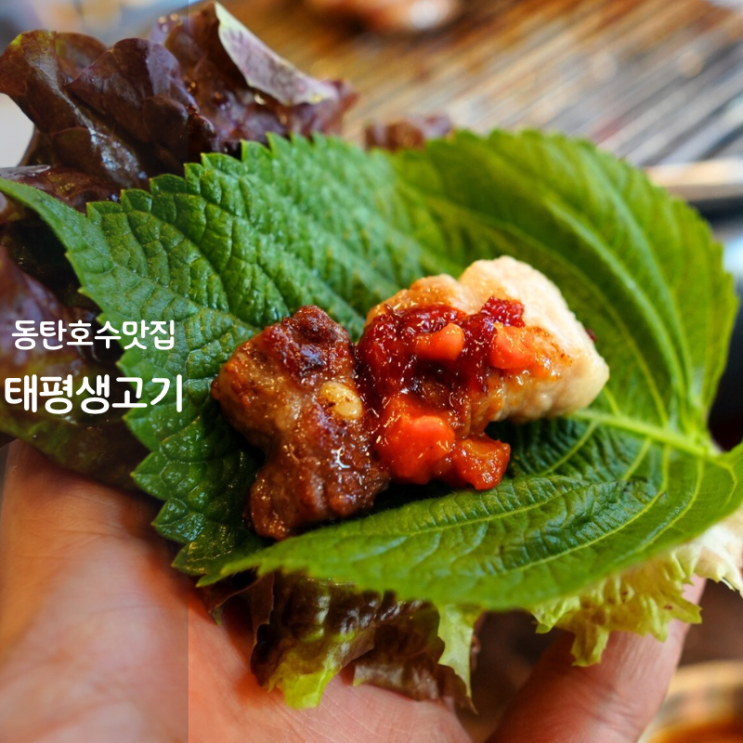  동탄 호수공원 맛집 산척동 고기집 태평생고기 숙성 삼겹살 구이
