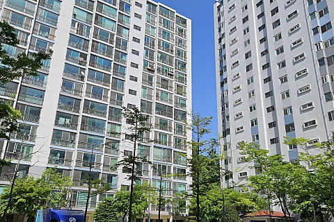 동백클린 이미지