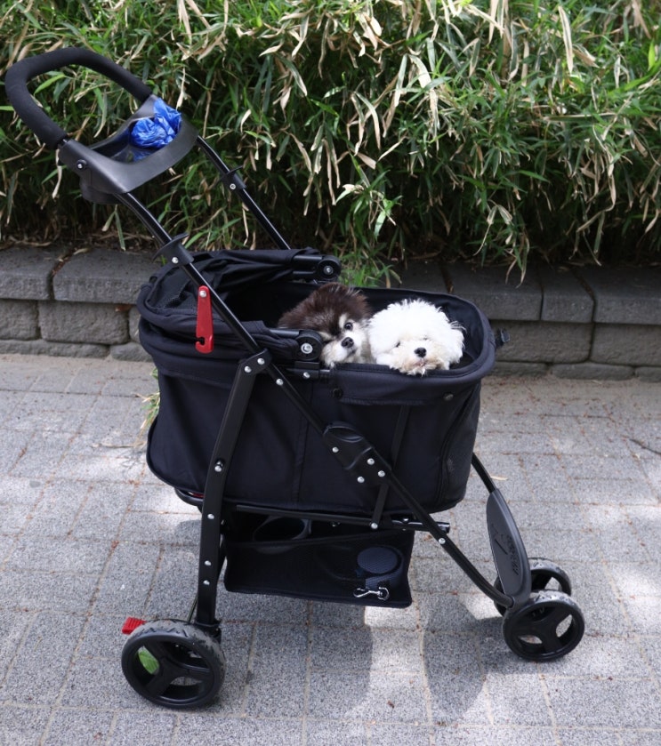  고양이 강아지 유모차 애견 개모차 크로노 소형견 이동장