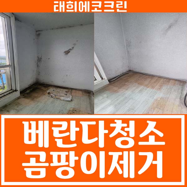  전주청소업체-베란다청소,곰팡이제거