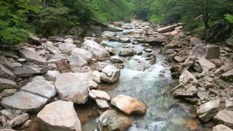  보육교사2급자격증 , 최단기간 끝내는 노하우