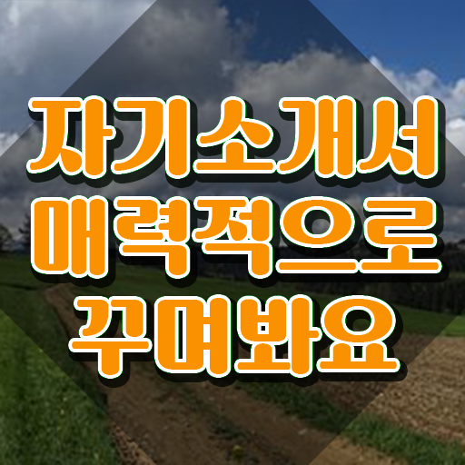  취업자기소개서컨설팅 , 자기소개서지도사 자격증 2주 만에 학습 전격분석