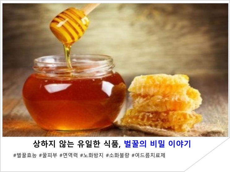  상하지 않는 유일한 식품, 벌꿀의 비밀 이야기
