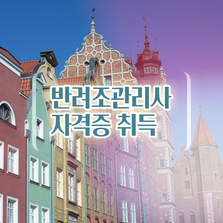  시나몬코뉴어앵무새 , 반려조관리사 자격증 한달 만에 취득한 방법 정보 필요하시죠