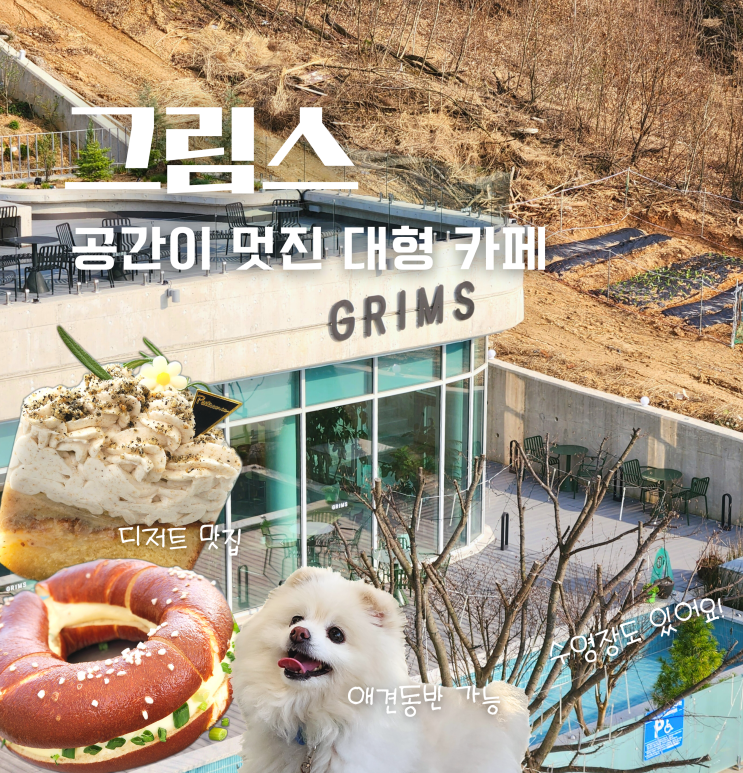  천안 구룡동 대형 베이커리 맛집 그림스 카페 루프탑 추천 애견동반 가능