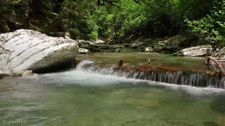  산림산업기사 합격점수 산림산업기사 취득자격 독학으로 4달만에 준비했던 팁
