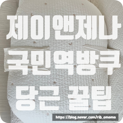 제이앤제나 역류 방지 쿠션(국민 역방쿠) 새것? 고민된다면? 제대로 당근 하는 꿀팁!