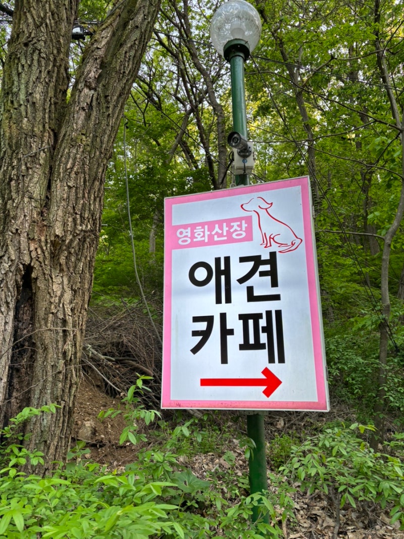사진 7