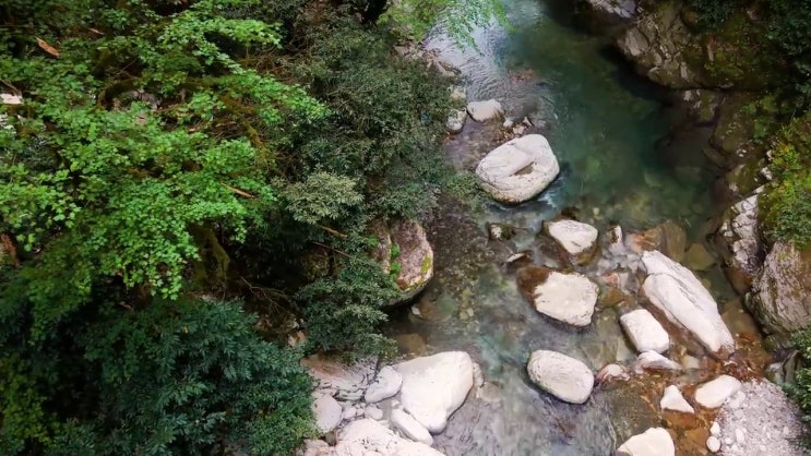  사회복지사2급학점은행제도 ? 사회복지사 비전공 직장인도 온라인 교육원 통해서 편하게