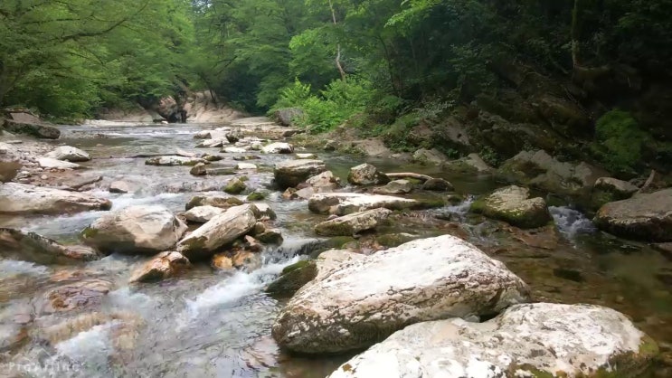  2급분노조절상담지도사자격증취득방법