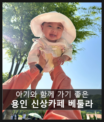  역대급 용인자작나무숲 신상카페, 아기와 함께 가기좋은 뷰 맛집 베툴라 [정식오픈 5월10일 예정]