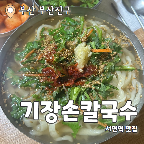  기장손칼국수 : 서면역 찐시장칼국수 맛집 내돈내산 후기