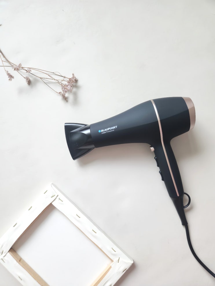  블라우풍트 헤어 드라이어 헤어드라이기 BLP-HD2400 추천